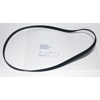 Ремень Werther-OMA W6047