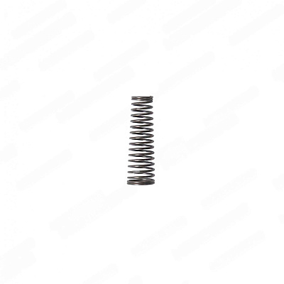 Пружина усиленная гидроблока для N502 (2021)